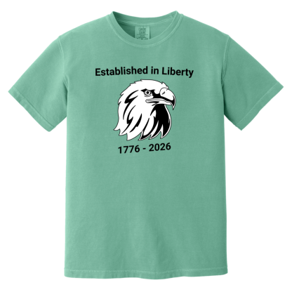 "Eagle" Comfort Colors 6.1 oz T-Shirt - Image 3