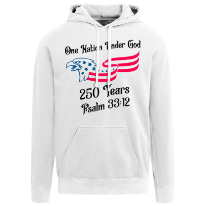 "250 Years" Comfort Colors Hoodie - Image 4