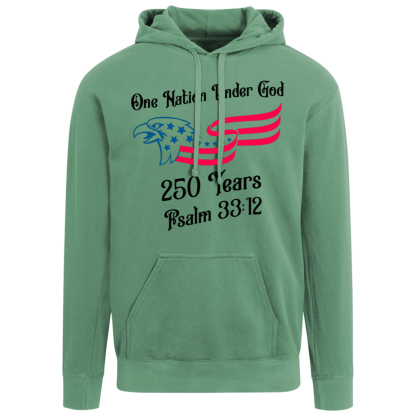 "250 Years" Comfort Colors Hoodie - Image 2