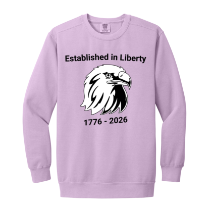 "Eagle" Comfort Colors Sweatshirt - Image 3