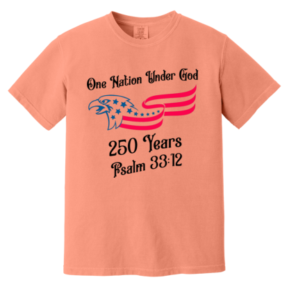 "250 Years" Comfort Colors 6.1 oz T-Shirt - Image 3