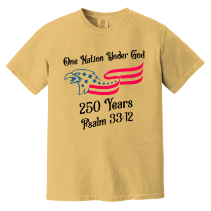 "250 Years" Comfort Colors 6.1 oz T-Shirt - Image 4