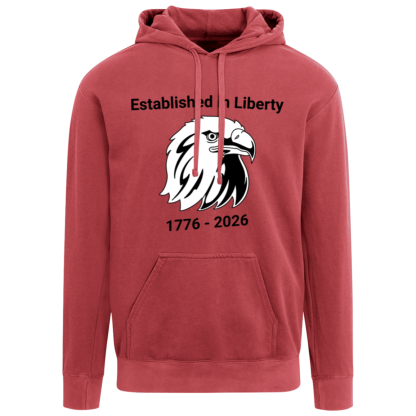 "Eagle" Comfort Colors Hoodie - Image 2