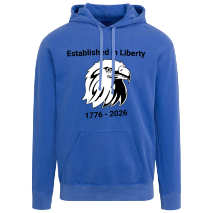 "Eagle" Comfort Colors Hoodie - Image 3