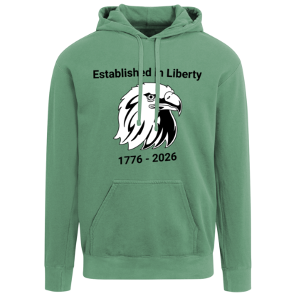 "Eagle" Comfort Colors Hoodie - Image 4