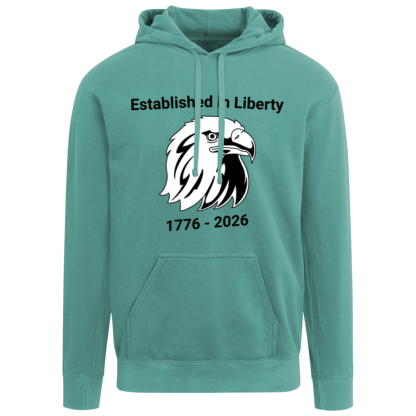 "Eagle" Comfort Colors Hoodie - Image 5